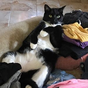 Meet your Posher, Diane